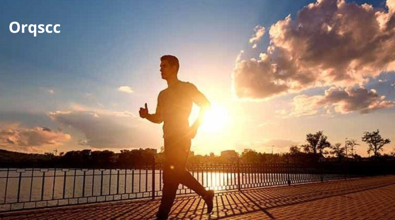 Jalan Sore Sendirian Healing Versi Low Budget